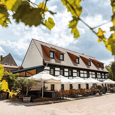 Weingut Schuh - Pension Zur Bosel Coswig  Exteriör bild