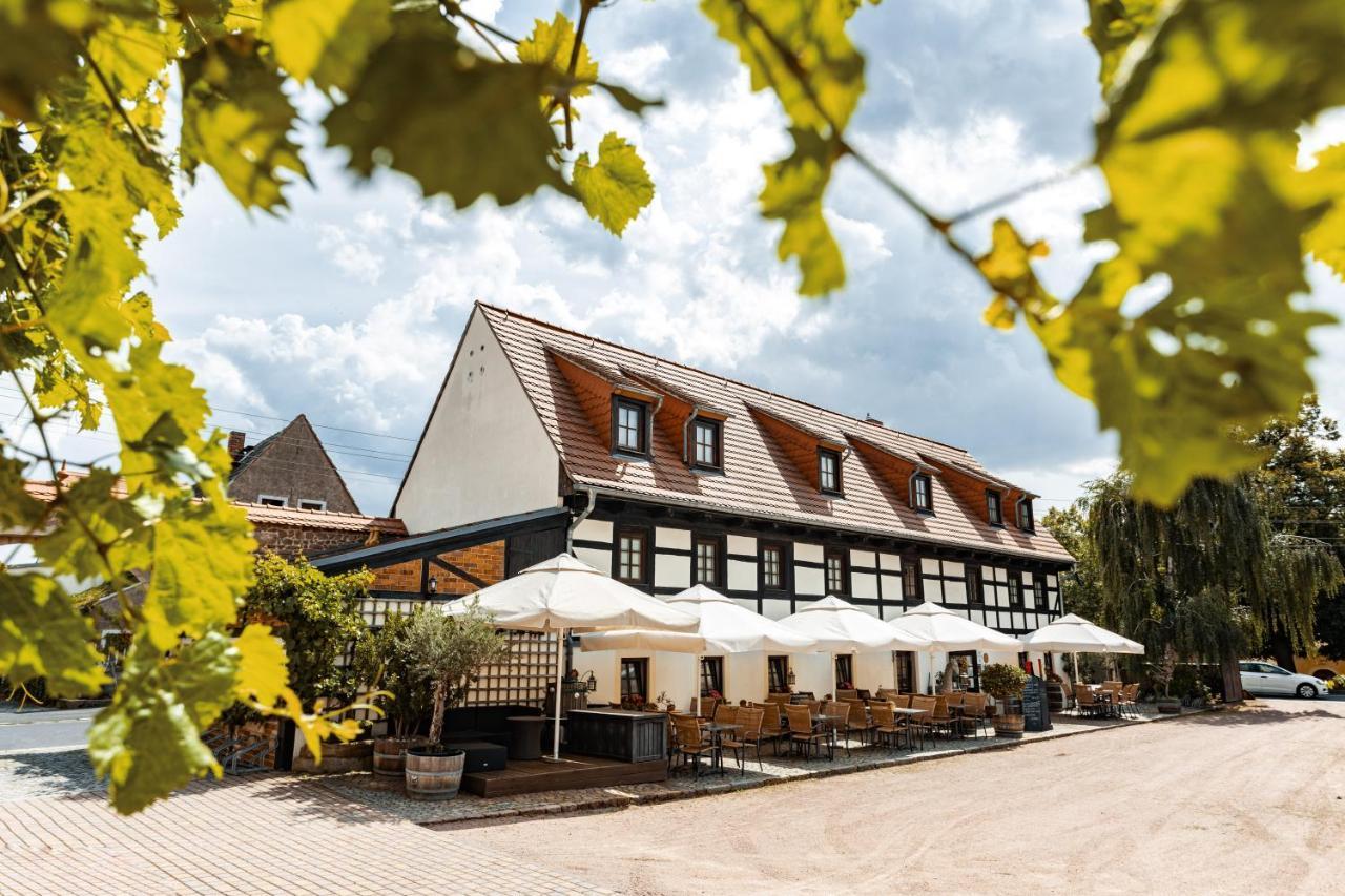 Weingut Schuh - Pension Zur Bosel Coswig  Exteriör bild